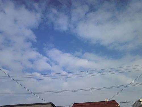 2009･1･29朝そら