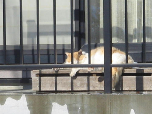 (-.-)zzZ