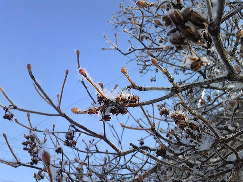 2月10日あさ