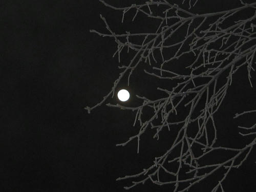 Ｍｏｏｎ