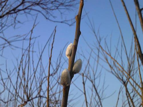 20090317
