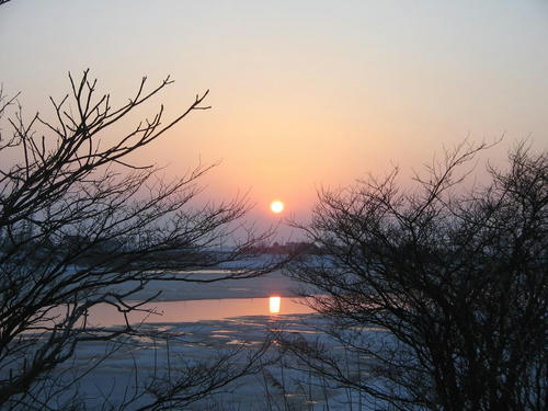 20090317