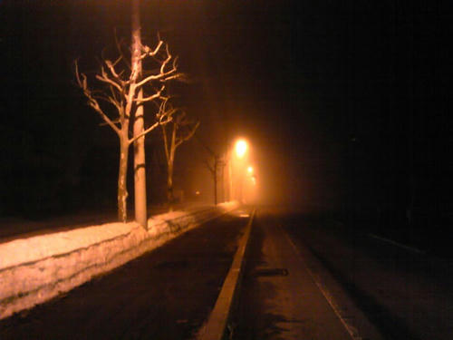 20090317