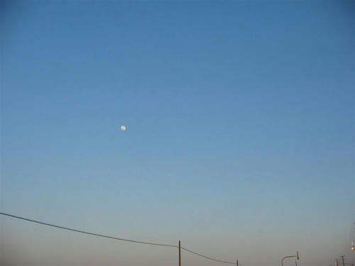 IMG_4041_R.jpg