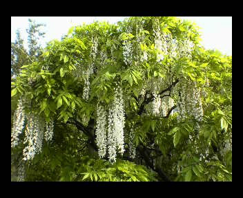 画像ファイル "http://blog.cnobi.jp/v1/blog/user/d0ff933dfe5f9a217a8c8a9d2117510f/1242492842" は壊れているため、表示できませんでした。