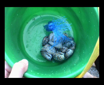 画像ファイル "http://blog.cnobi.jp/v1/blog/user/d0ff933dfe5f9a217a8c8a9d2117510f/1246210640" は壊れているため、表示できませんでした。