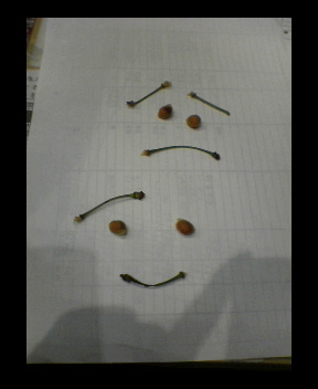 画像ファイル "http://blog.cnobi.jp/v1/blog/user/d0ff933dfe5f9a217a8c8a9d2117510f/1246378747" は壊れているため、表示できませんでした。