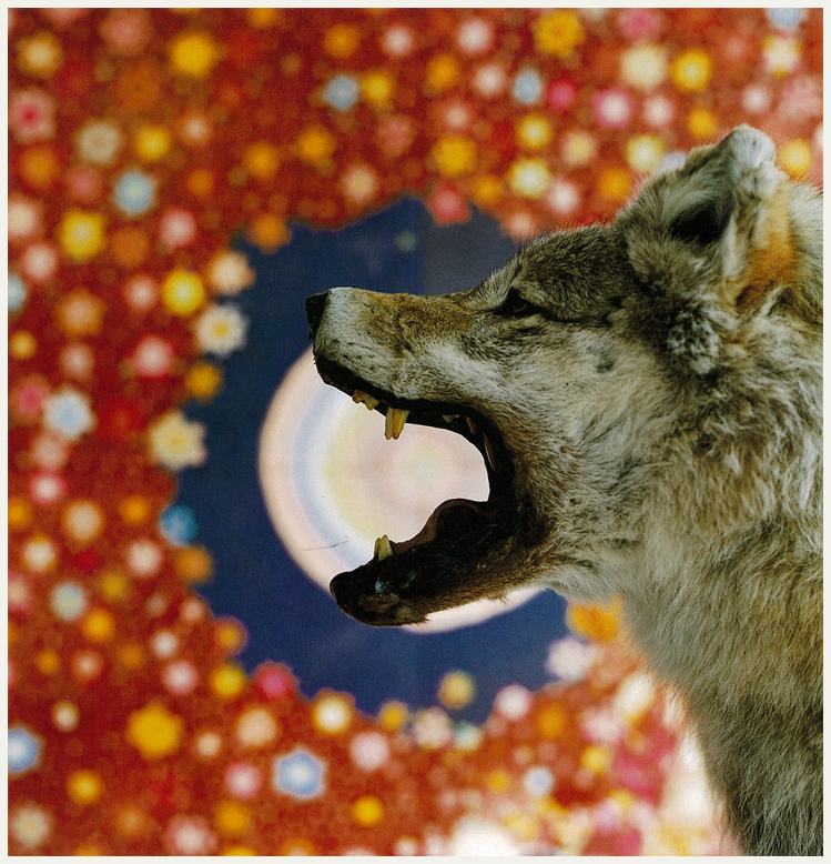 画像ファイル "http://blog.cnobi.jp/v1/blog/user/d0ff933dfe5f9a217a8c8a9d2117510f/1246466626" は壊れているため、表示できませんでした。