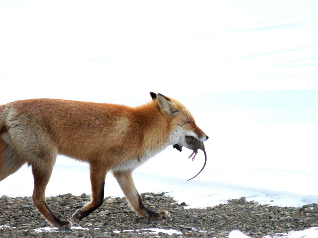 画像ファイル "http://blog.cnobi.jp/v1/blog/user/d0ff933dfe5f9a217a8c8a9d2117510f/1248629898" は壊れているため、表示できませんでした。