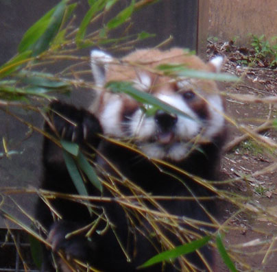 画像ファイル "http://blog.cnobi.jp/v1/blog/user/d0ff933dfe5f9a217a8c8a9d2117510f/1249838547" は壊れているため、表示できませんでした。