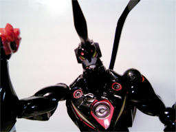blog080617_4.jpg