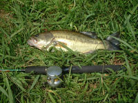 20070728.jpg