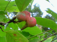 200709231042000.jpg