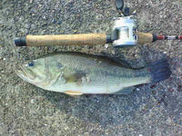 200712021417000.jpg
