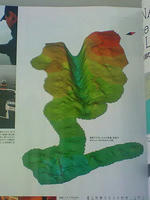 basser.apl3.jpg