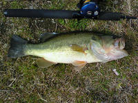 200803161008000.jpg