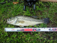 200805051040000.jpg