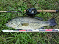 200805051505000.jpg