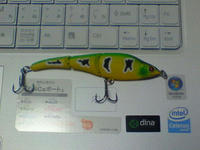200805302007000.jpg