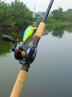 200807050456000.jpg