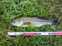 200807050552001.jpg