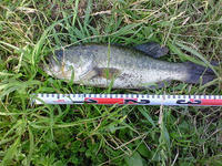 200807050707000.jpg