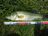 200807051125000.jpg