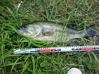 200807051337000.jpg