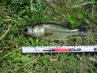 200807051408000.jpg