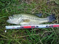 200807061814001.jpg