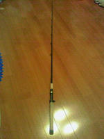 gc66mh1.jpg