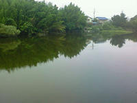 200807260601000.jpg