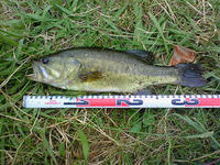 200807260854000.jpg