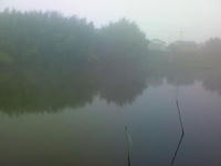 200808060505000.jpg
