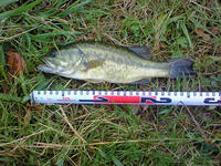200808060523000.jpg