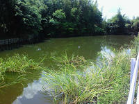 200808061106000.jpg