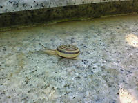 200808081025000.jpg