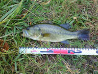 200808090532000.jpg