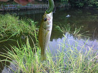 200808090651000.jpg