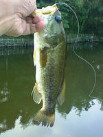 200808090715000.jpg