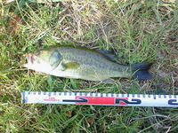 200808090812000.jpg