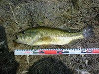 200808091052000.jpg