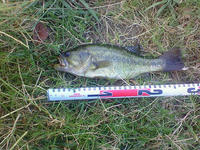 200808160546000.jpg