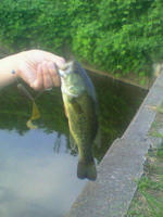 200808160602000.jpg