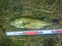 200808161153000.jpg