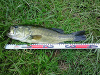 200809031148000.jpg