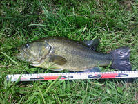 200809031200000.jpg