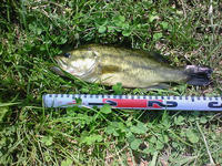 200809031241000.jpg