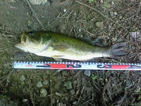 200809070839000.jpg