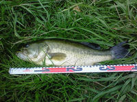 200809070906000.jpg